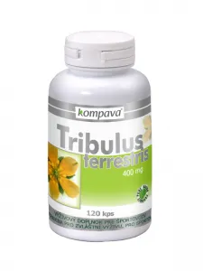 Tribulus Terrestris 400 mg 120 K...